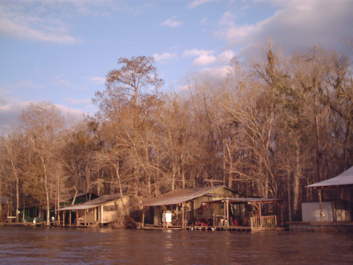 Swamp Village