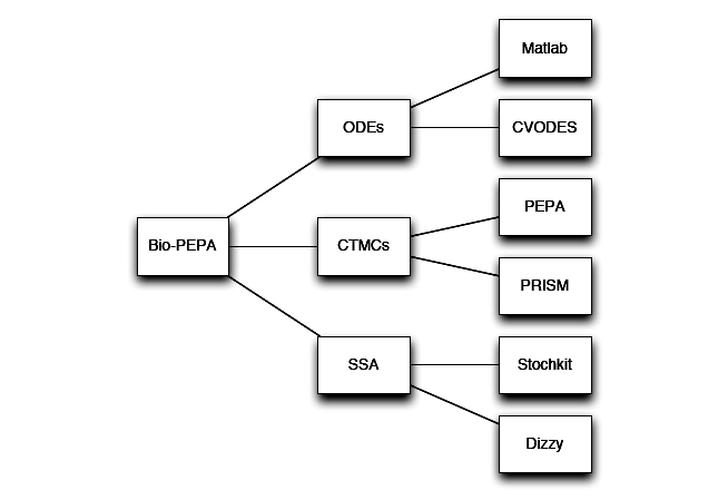 Bio-PEPA Workbench use