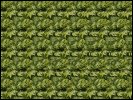 Stereogram Generator applet screenshot