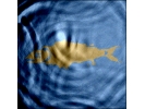 Water applet screenshot